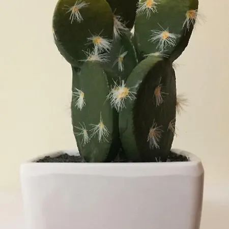 Minimal Apartamento *